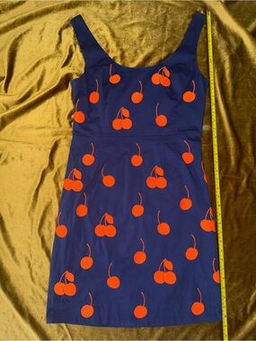 Leifnotes Anthropologie Dress